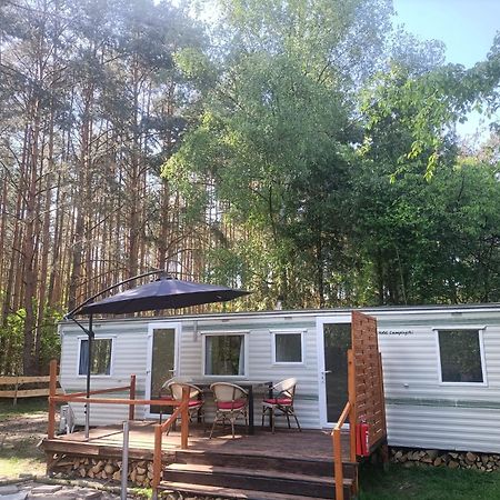 Tinyhaus Idyllisch Am Waldesrand Hotel Cottbus Ngoại thất bức ảnh