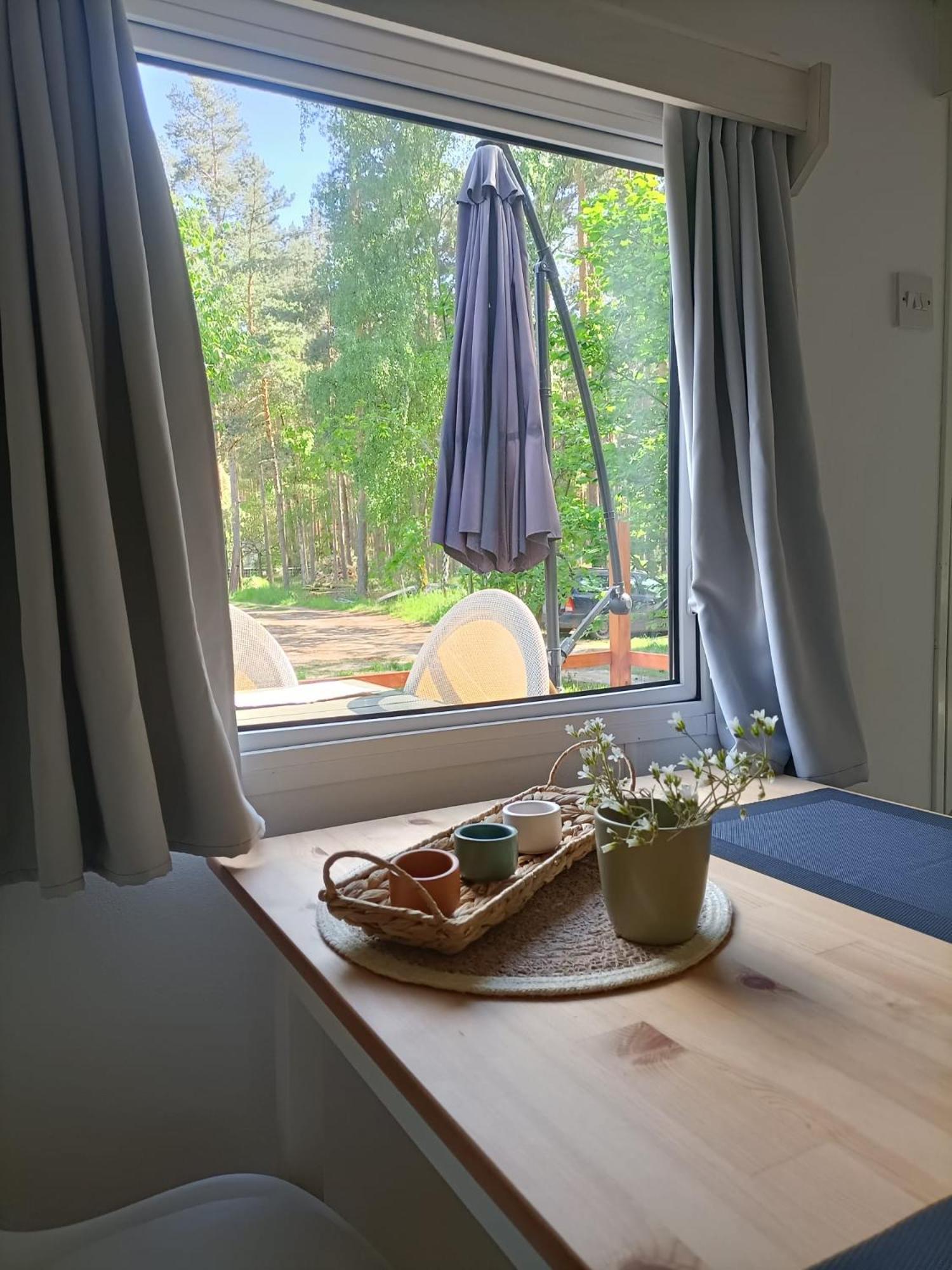 Tinyhaus Idyllisch Am Waldesrand Hotel Cottbus Ngoại thất bức ảnh